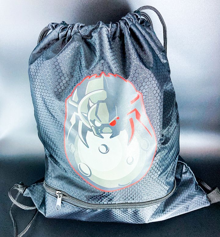 Black TDL Spider Drawstring Backpack product image (1)