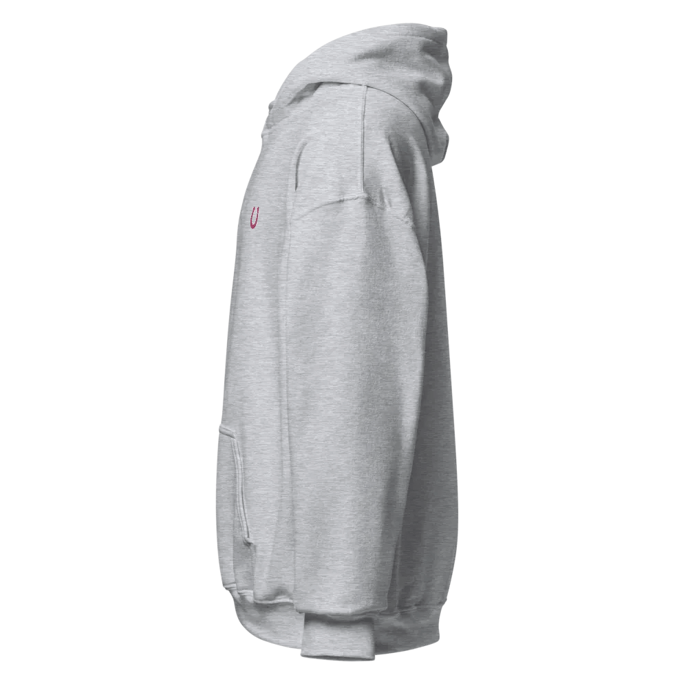 horseshoe embroidered hoodie product image (2)