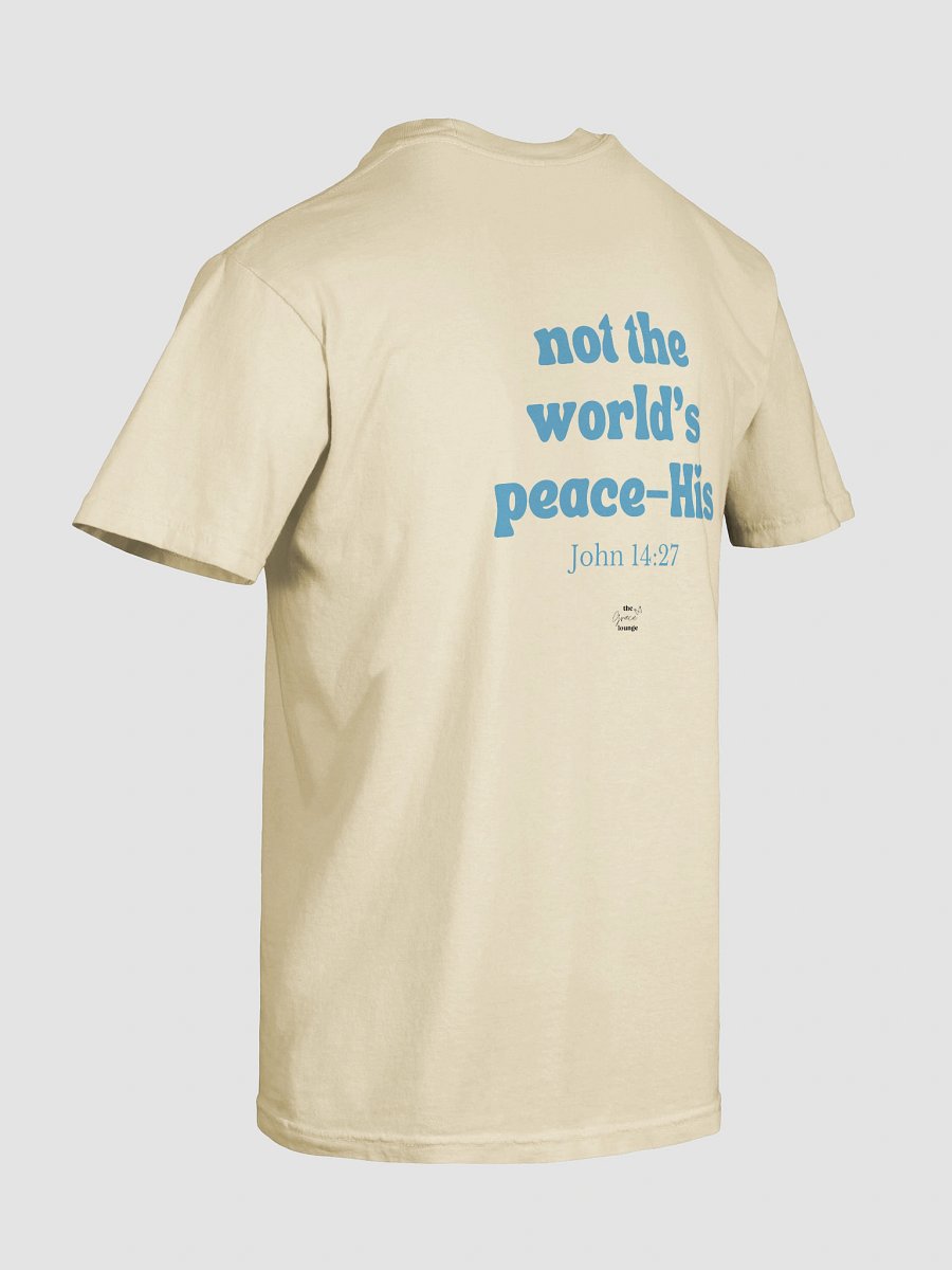 garment of stillness t-shirt product image (8)