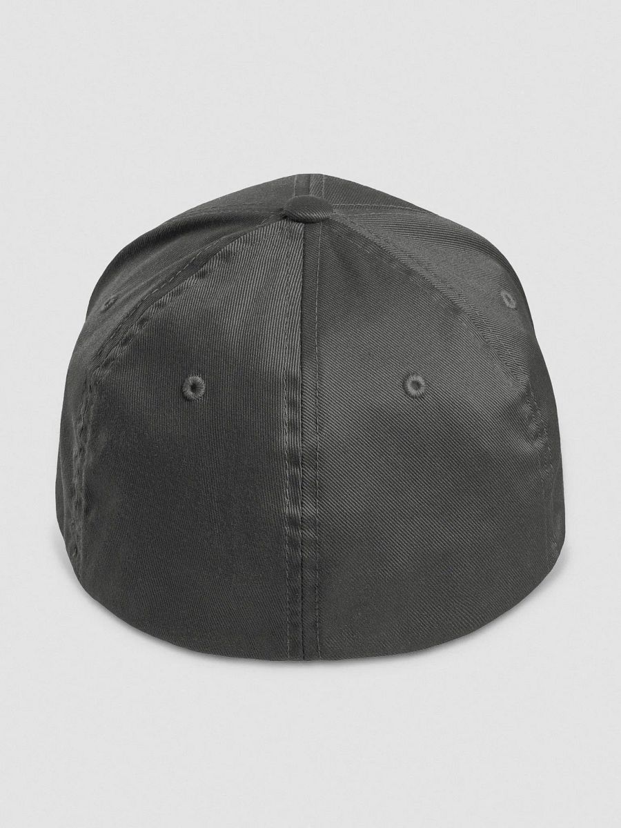 ACS - FlexFit Hat, Gray product image (4)