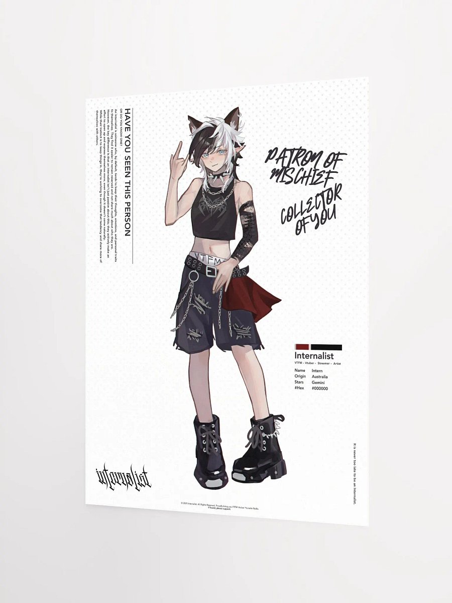 HAVE YOU SEEN THIS PERSON Poster product image (2)