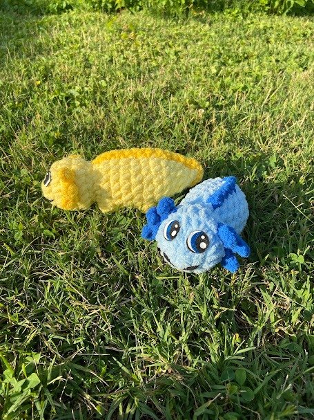 Axolotl product image (8)