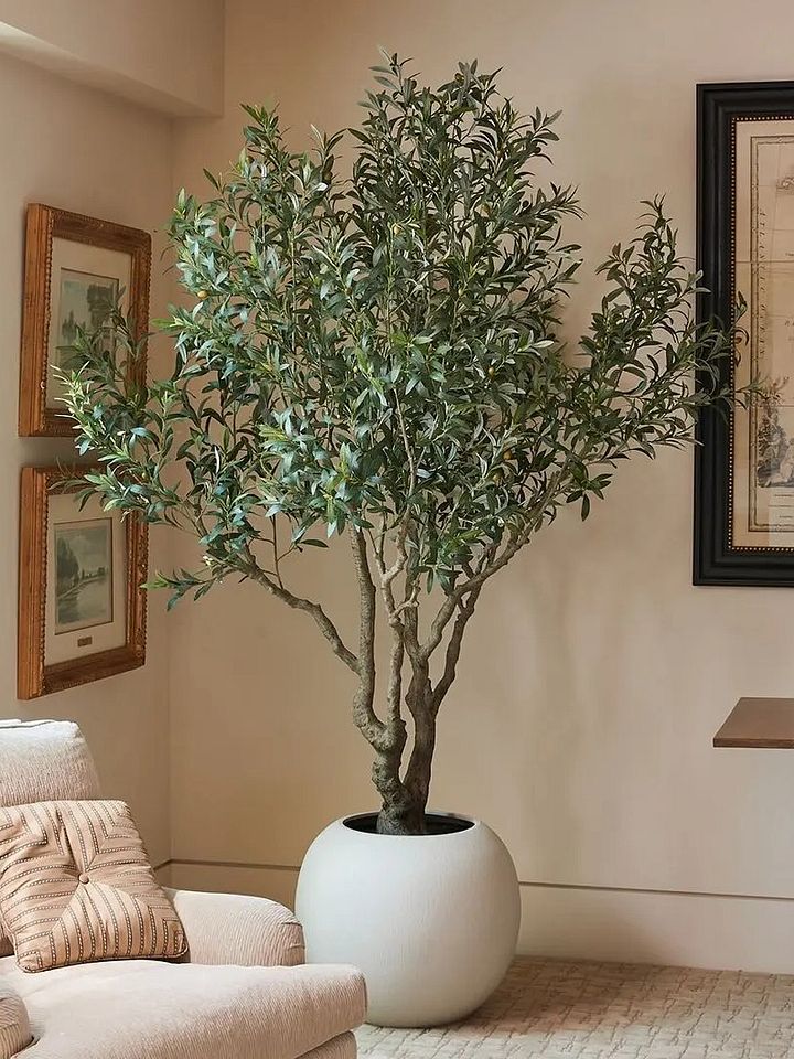 90cm 120cm 150cm 180cm 210cm 240cm Plastic Potted Plants Faux Indoor Decoration Artificial Olive Tree product image (1)
