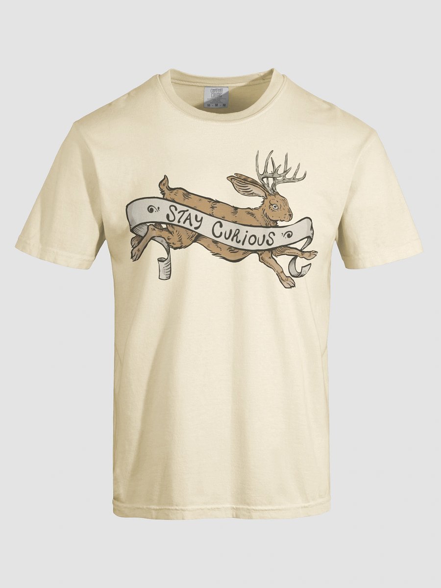 Stay Curious TEE product image (7)