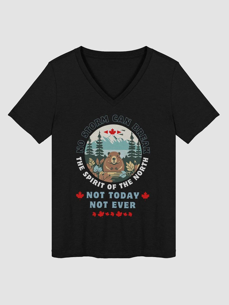 Wilderness Spirit Women's V-Neck Tee product image (14)
