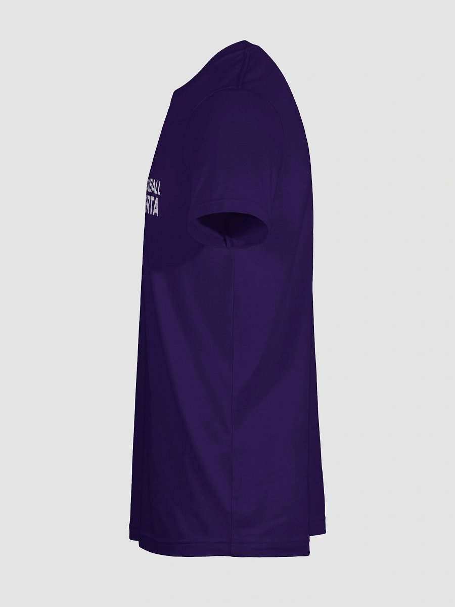 Dodgeball Alberta Logo Release Women's Tee product image (104)