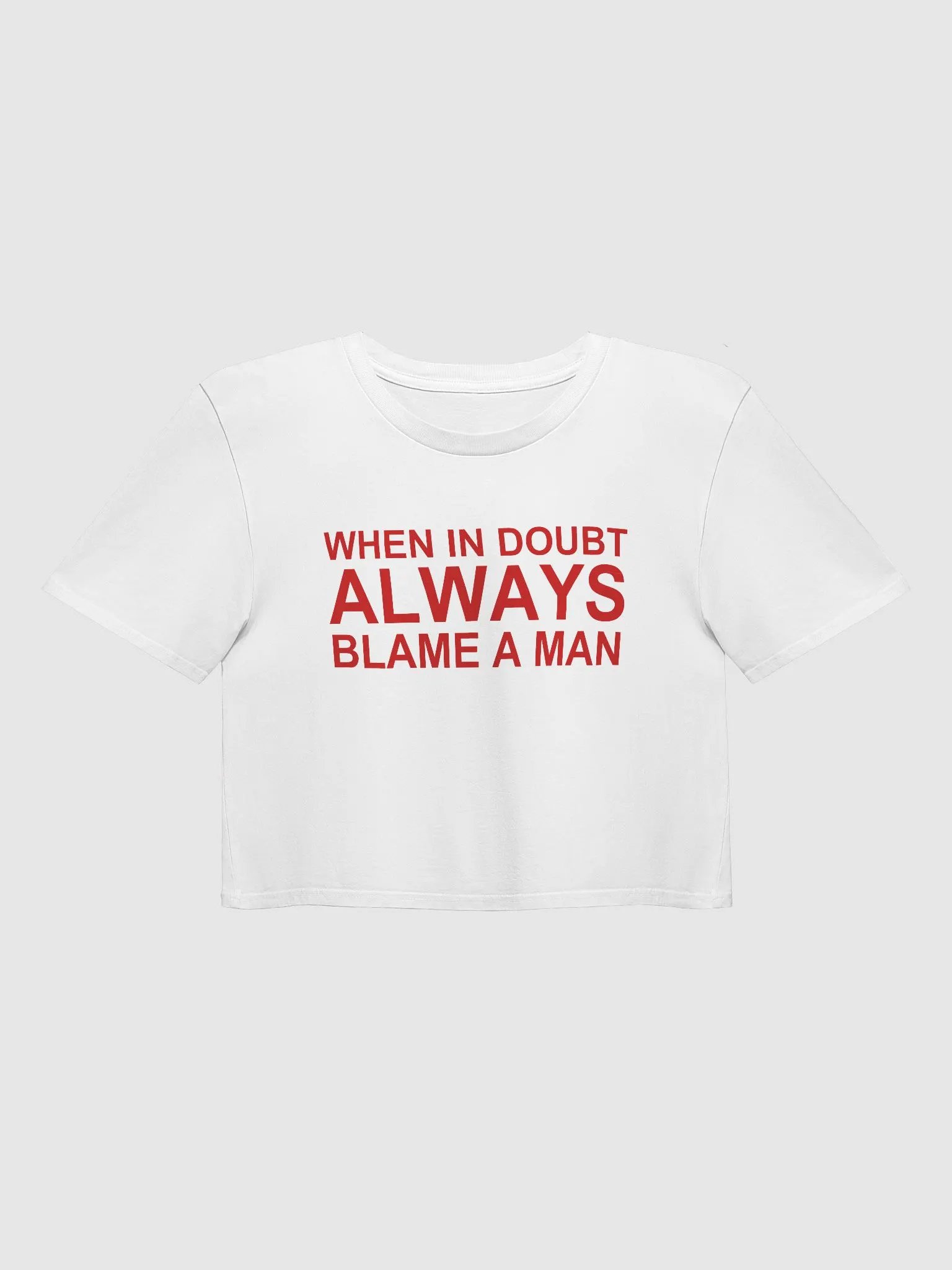 WHEN IN DOUBT ALWAYS BLAME A MAN Crop Top product image (1)