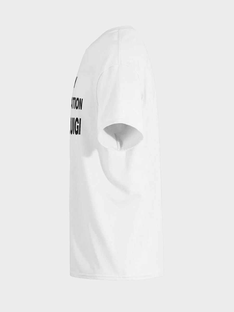 JURY NULLIFICATION FREE LUIGI T-Shirt product image (7)