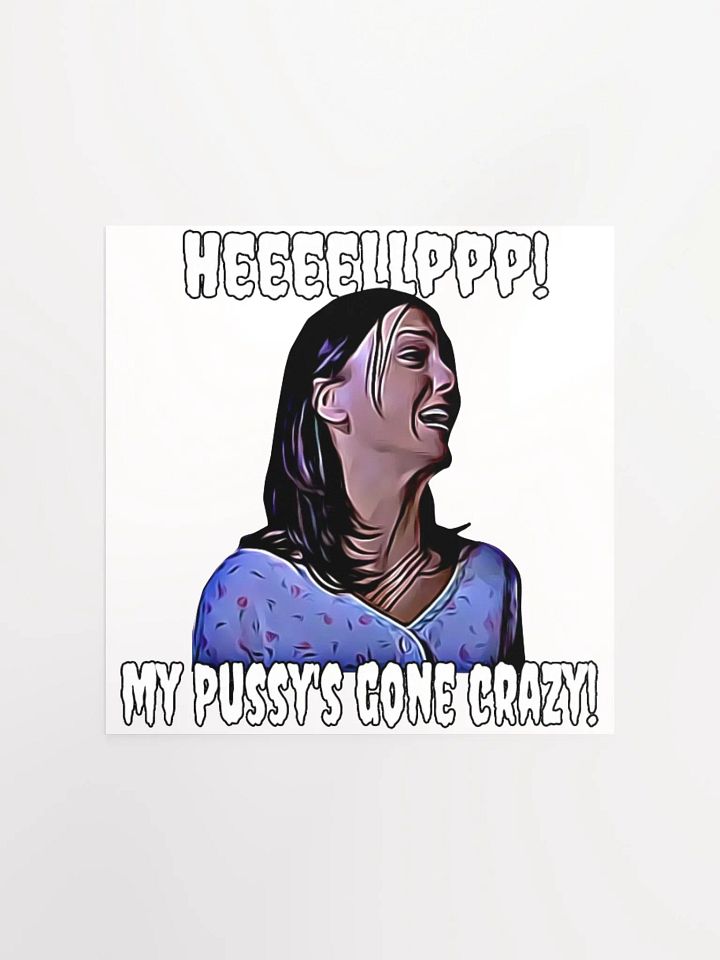 Help! my pussy's gone crazy! Enhanced Matte Paper Poster product image (1)
