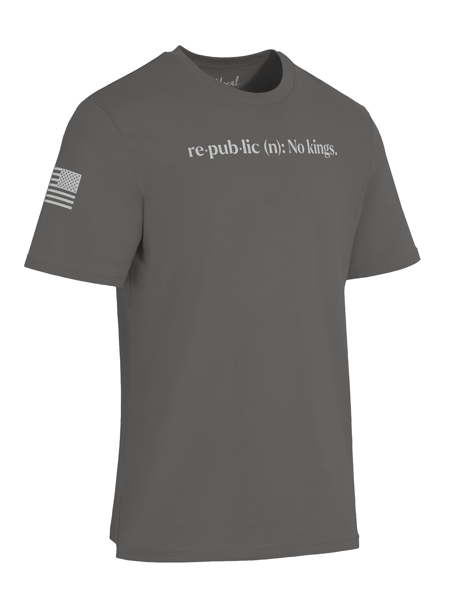No Kings Unisex Organic Battle Tee product image (35)