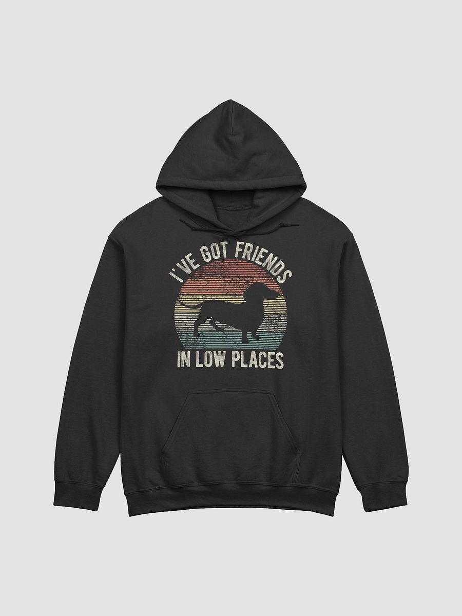 I've Got Friends in Low Places Dachshund Hooded Sweatshirt | Funny Hoodie for Doxie/Wiener Paw-rents product image (4)