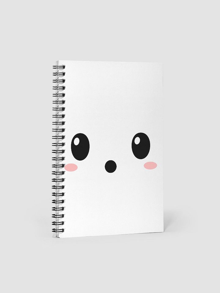 Face 1: Notebook product image (1)