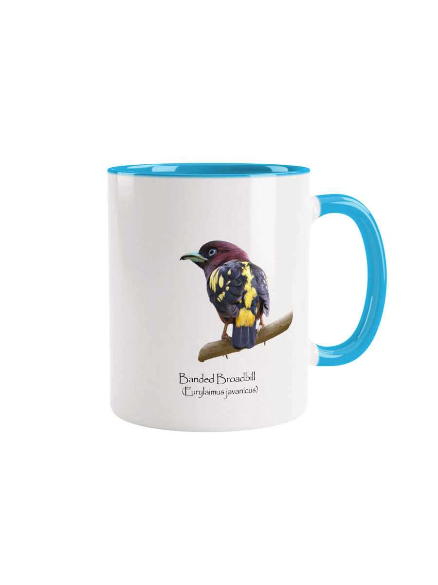 Banded Broadbill mug product image (1)