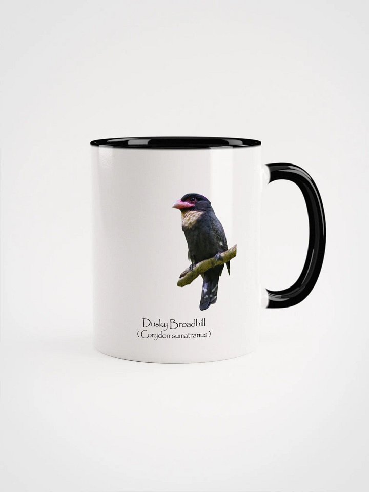 Dusky Broadbill product image (6)
