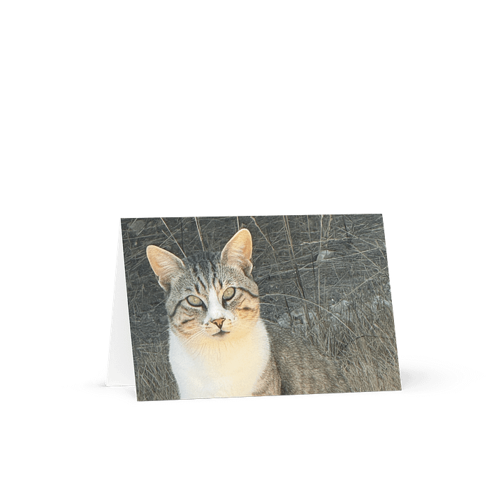 Cricket Gaze Greeting Card product image (1)