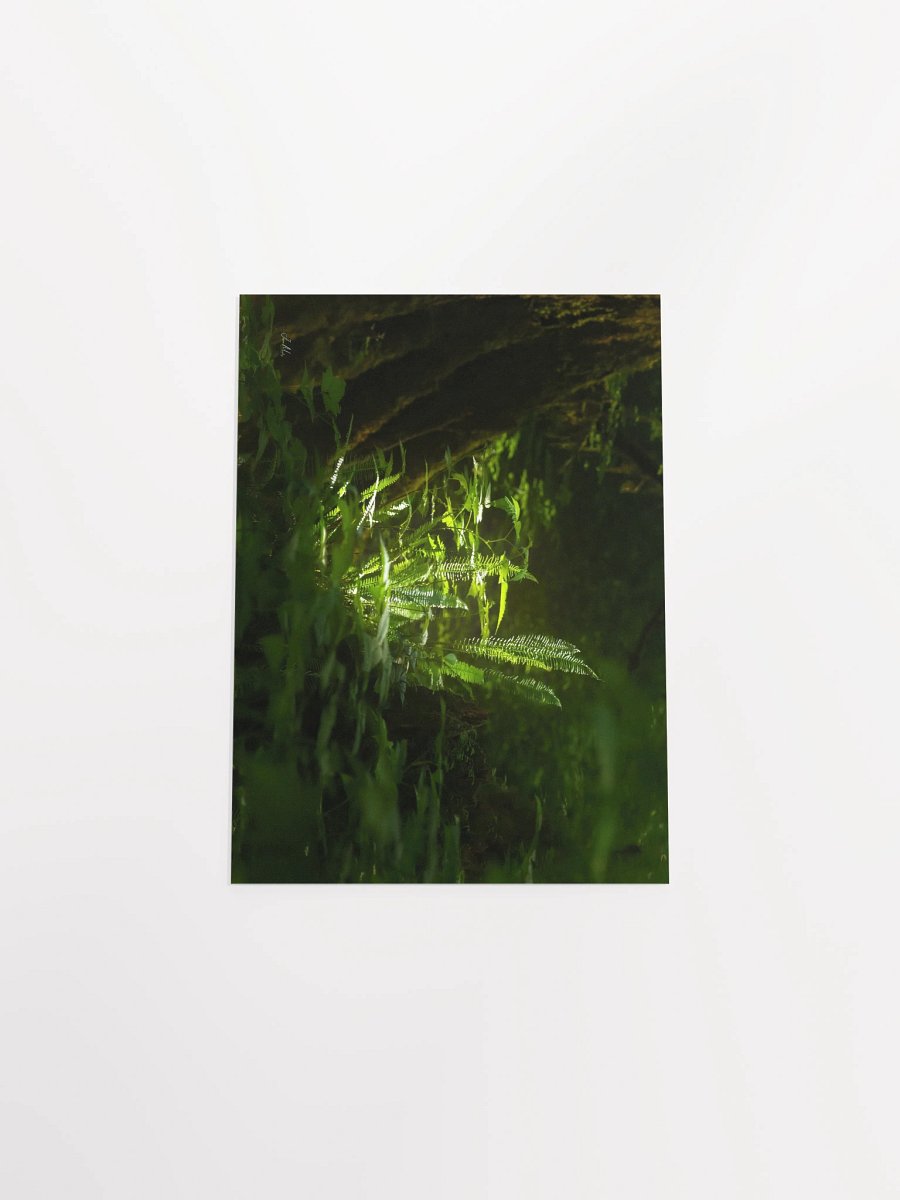 A little shot of sunshine in the wood's Matte Poster product image (29)