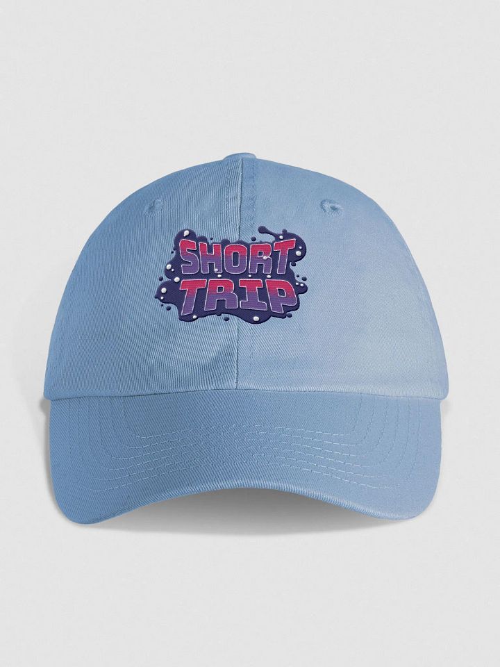 Dynamic Youth Biowashed Dad Hat - SHORT TRIP Edition product image (9)