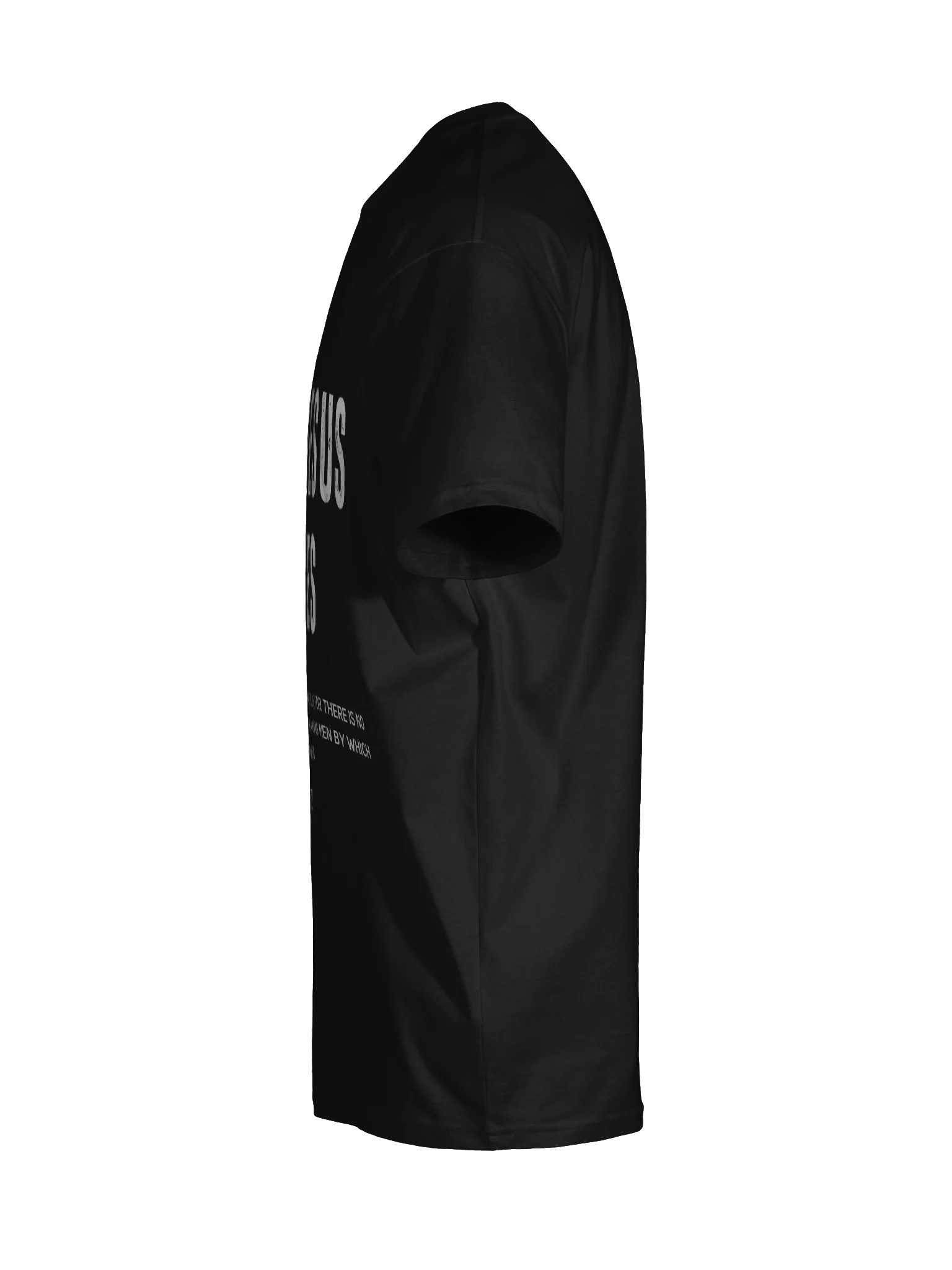 Only Jesus Saves – Acts 4:12 Tee product image (9)