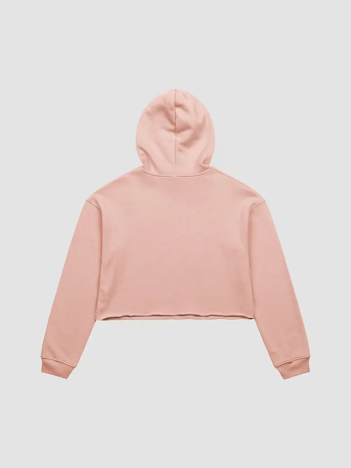 Drinking Around the World Disney: Taking Flights Without Leaving Ground Pink Crop Hoodie product image (2)