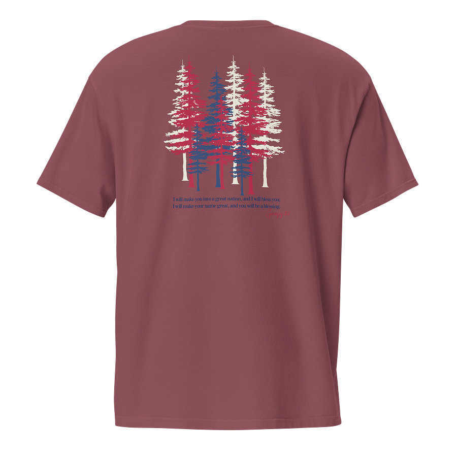 Comfort Colors Tee Make a Great Nation Lamb product image (5)