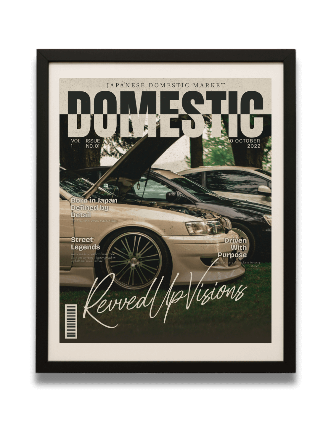 Domestic product image (1)