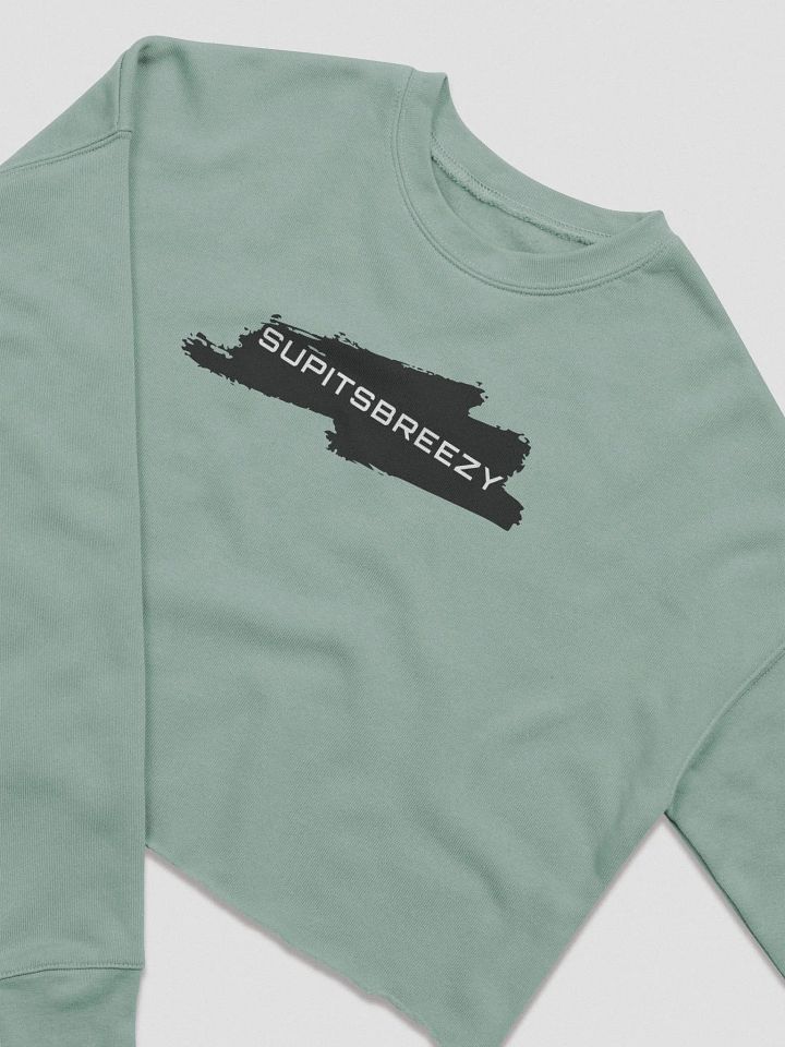 Breezy Logo Crop-Sweater! product image (2)