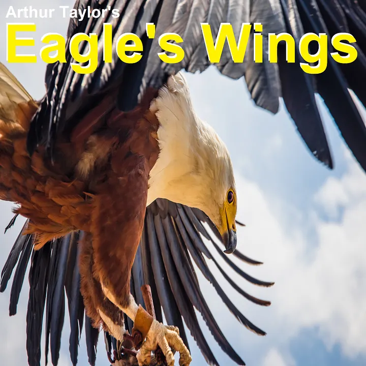 Eagle's Wings written, produced and performed by Arthur Taylor (WAV File) product image (1)