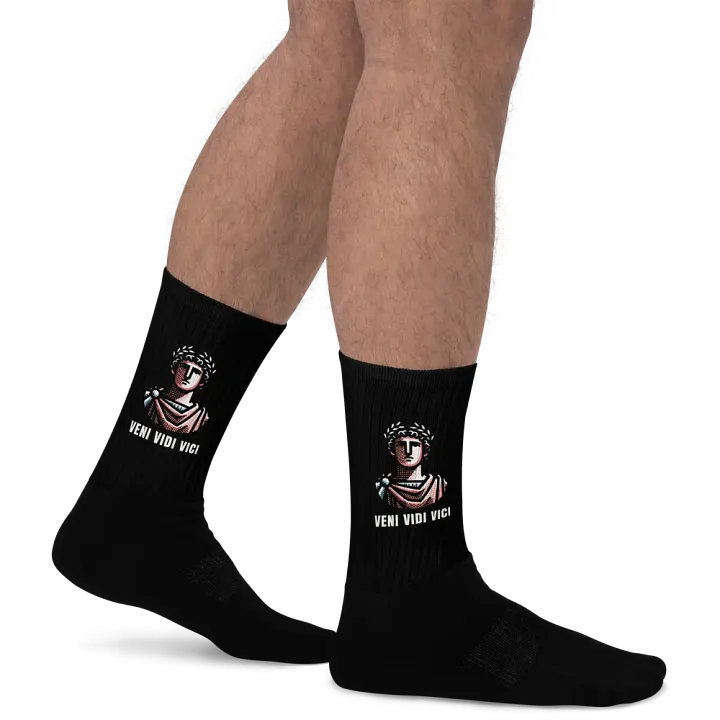 Veni Vidi Vici Socks product image (2)