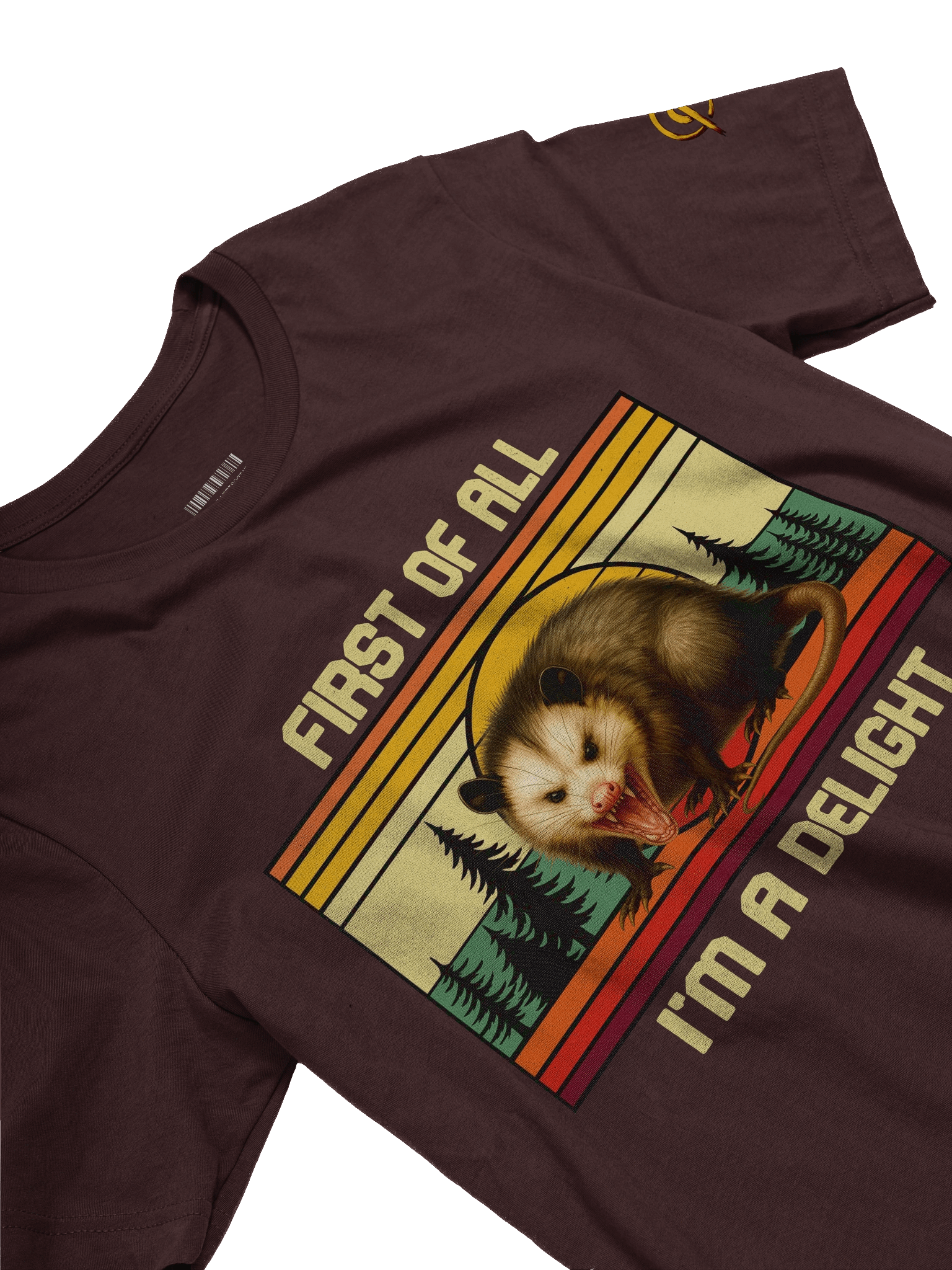 PASP Possum “I’m A Delight” Tee – Retro Fall Edition product image (3)