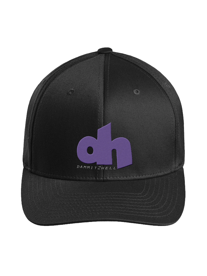 d2h Logo Flexfit Structured Fitted Cap product image (3)