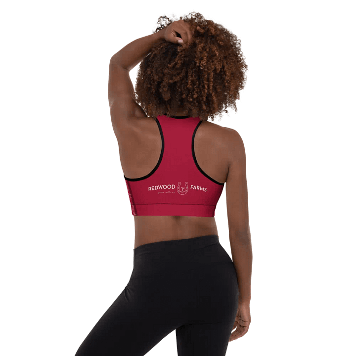 All about the Sports Bra product image (1)