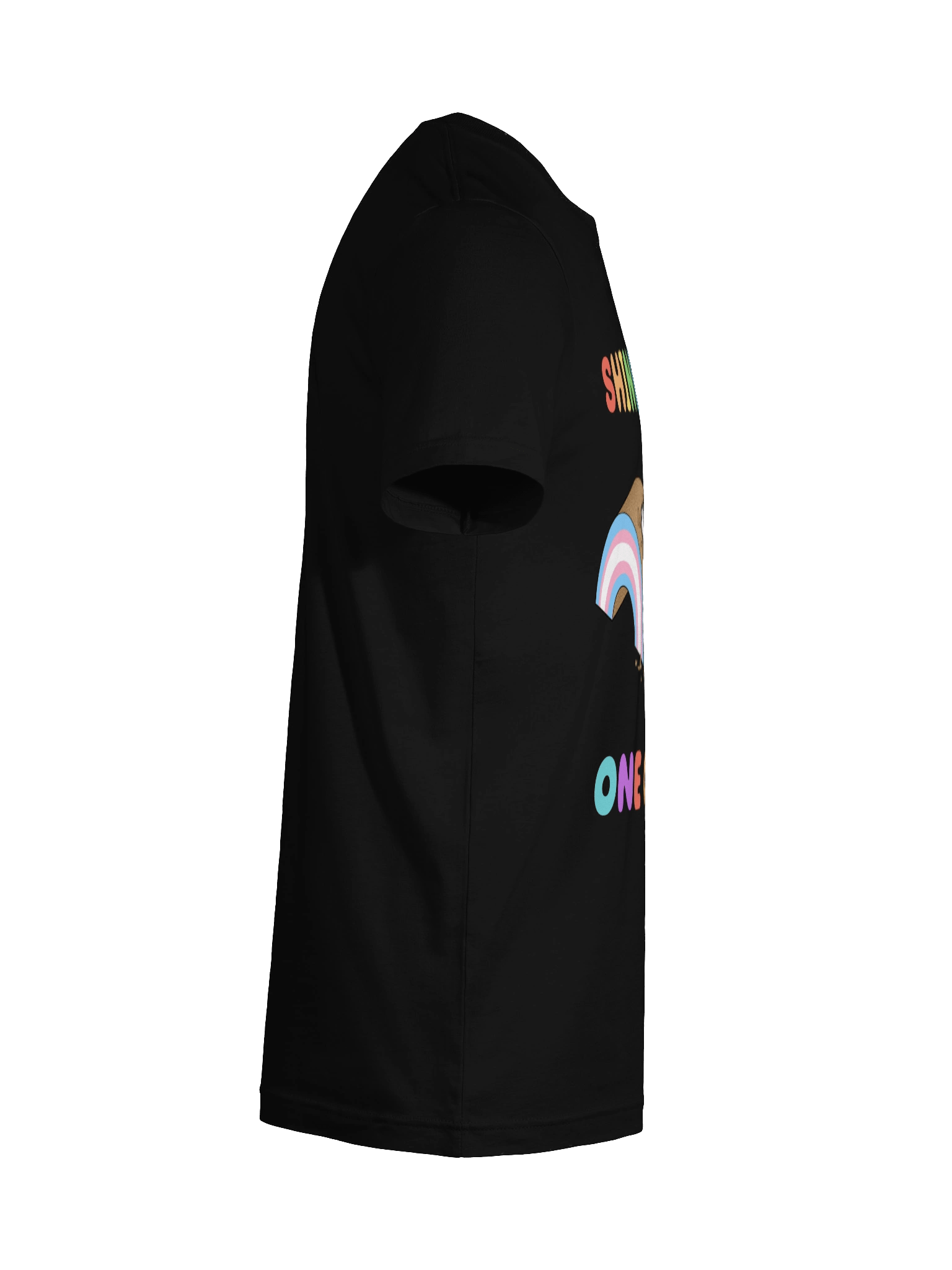 Shine Bright Trans Pride Shirt product image (126)