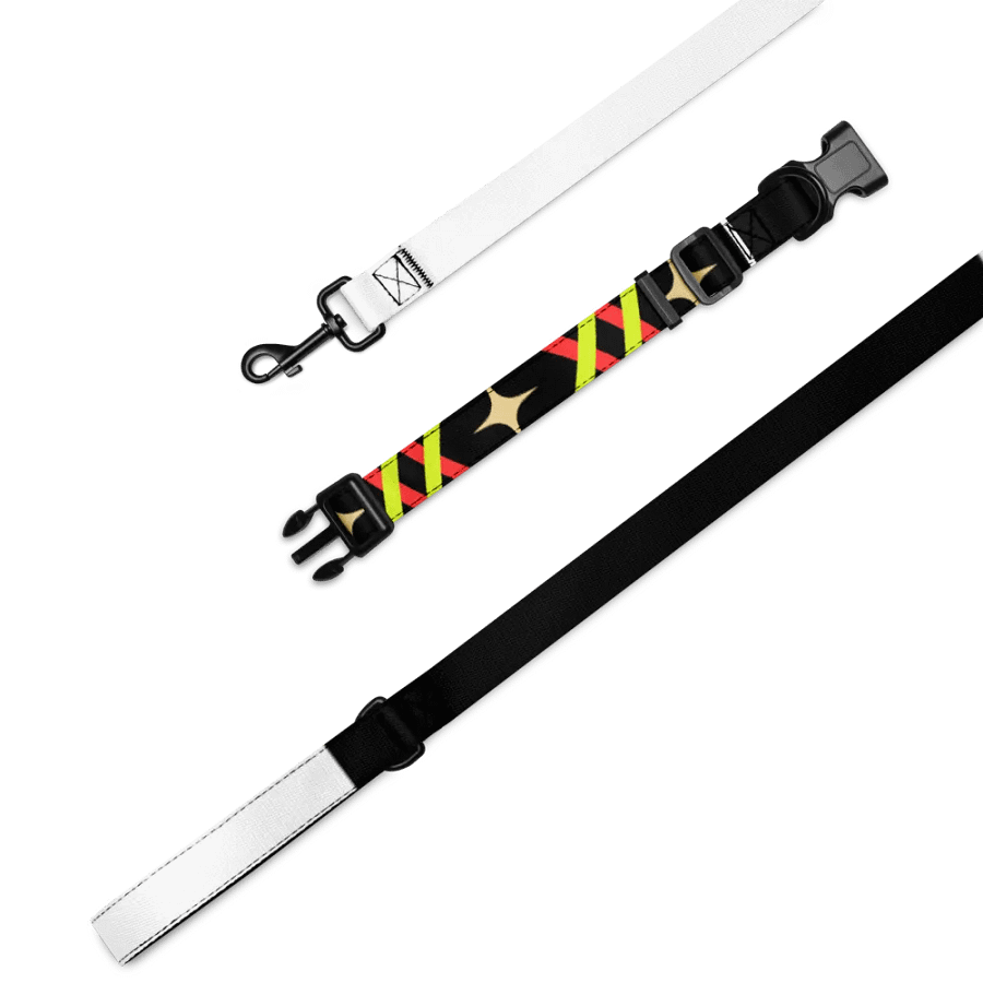 RFTV Dog Leash &Collar product image (3)
