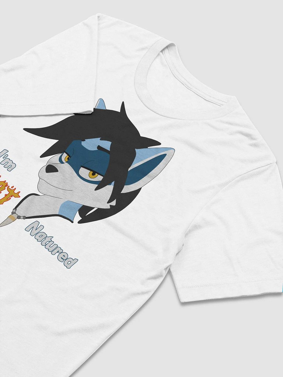 Felix | Triblend T-shirt | Quote #1 product image (3)
