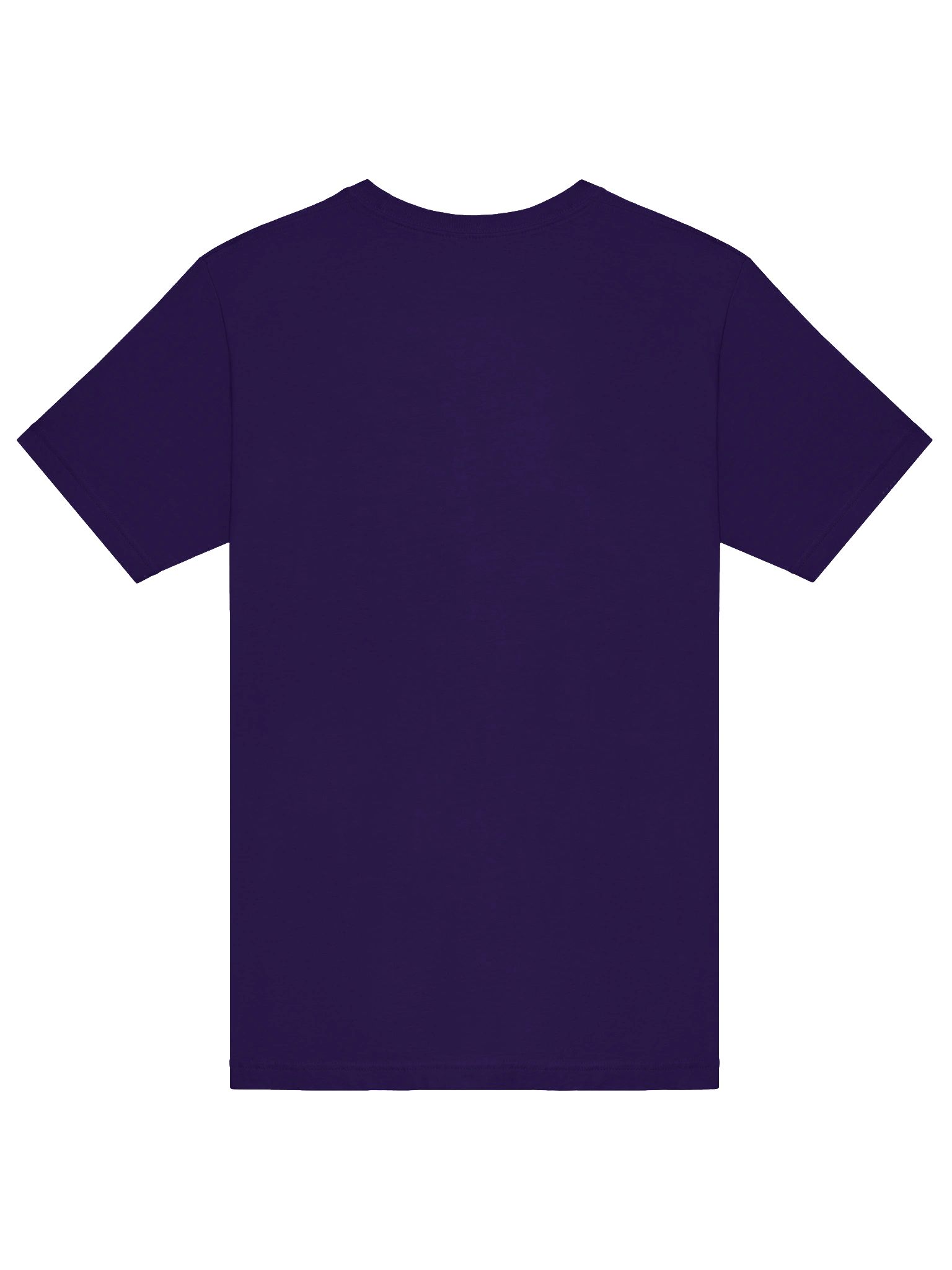 VST 2025 - "Vizards & Sorcerers Team" product image (45)