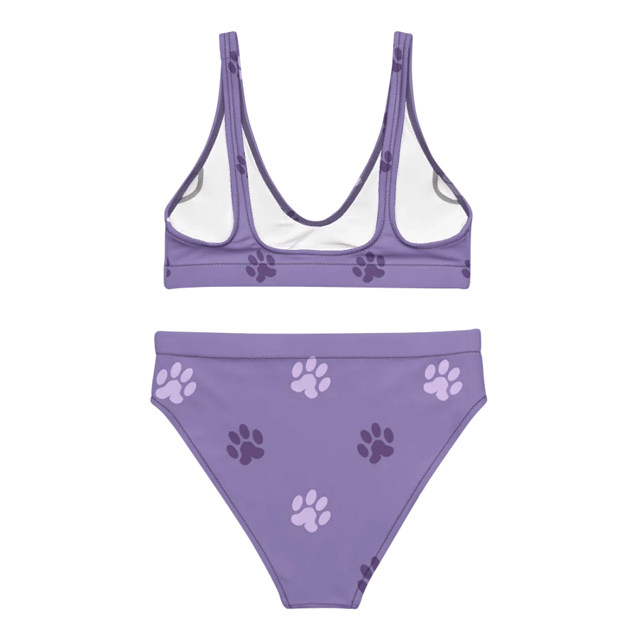 Paw Print High-Waisted Bikini product image (8)