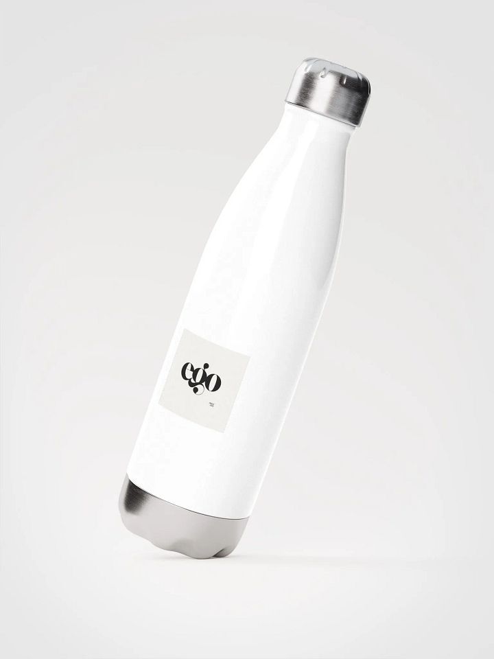 stainless steel water bottle product image (2)