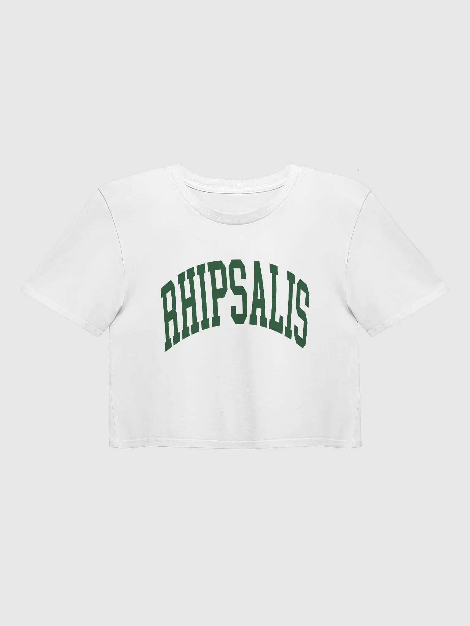 RHIPSALIS varsity crop top product image (1)