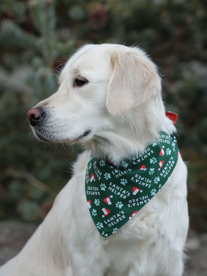 Santas Helper Bandana product image (1)