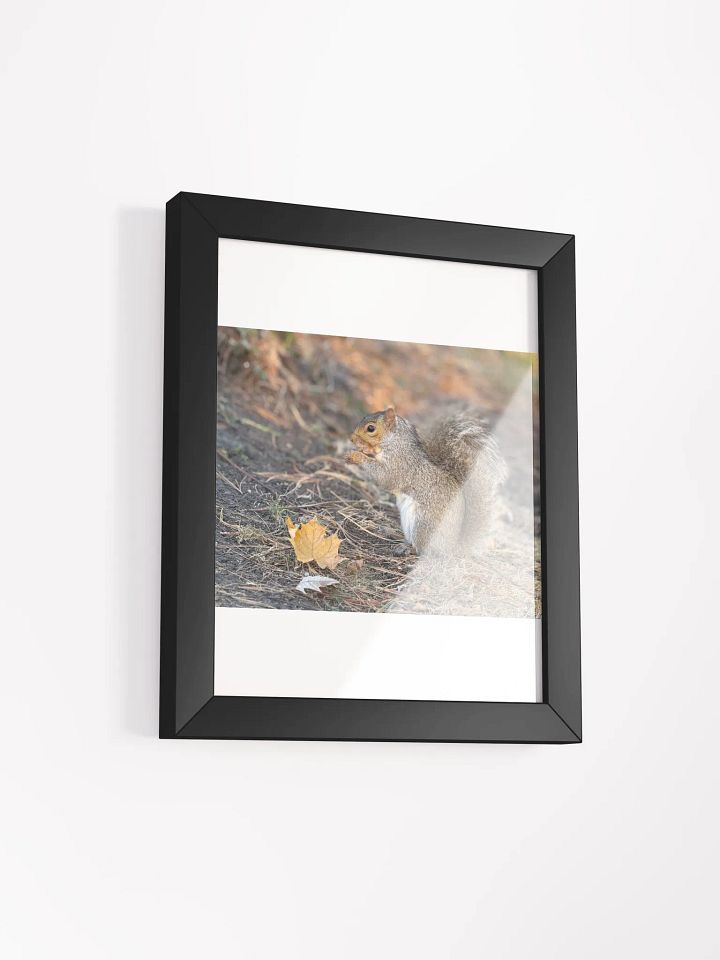 Squirrel print product image (50)