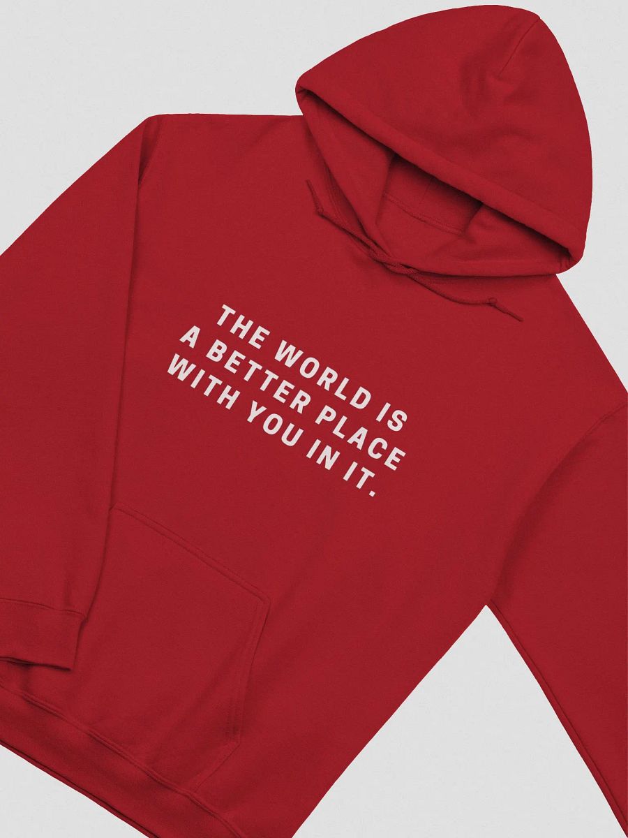 A BETTER PLACE HOODIE - (UNISEX) product image (21)