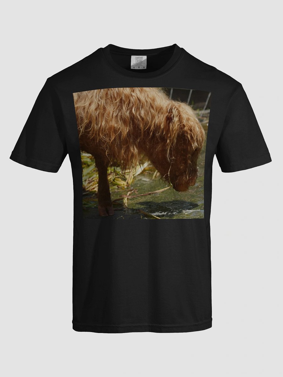 Shaggy Reflections T-Shirt product image (5)
