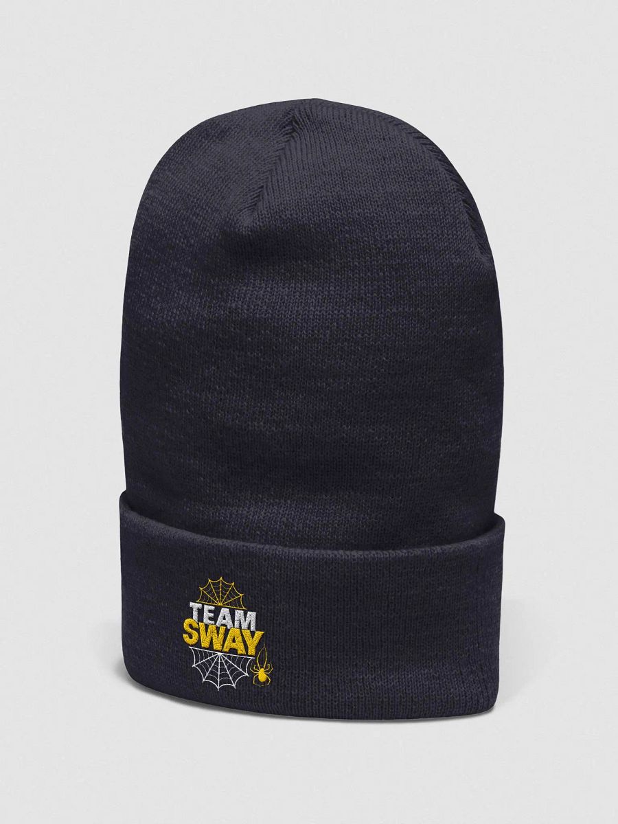 TEAM SWAY Embroidered Beanie product image (2)