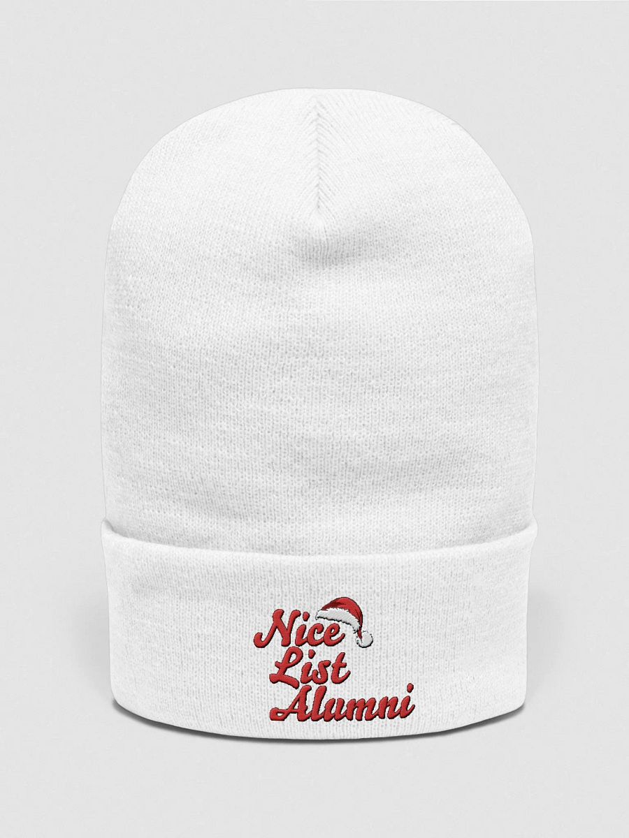"Nice List Alumni: Nice by Nature, Alumni by Tradition" Bennie Hat product image (1)