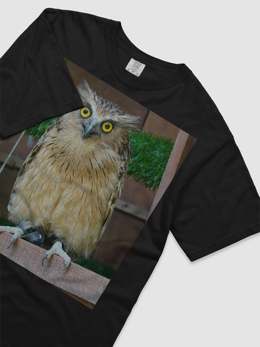 Owl Eyes Comfort Tee product image (3)