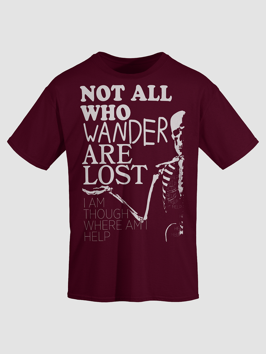 NOT ALL WHO WANDER product image (3)