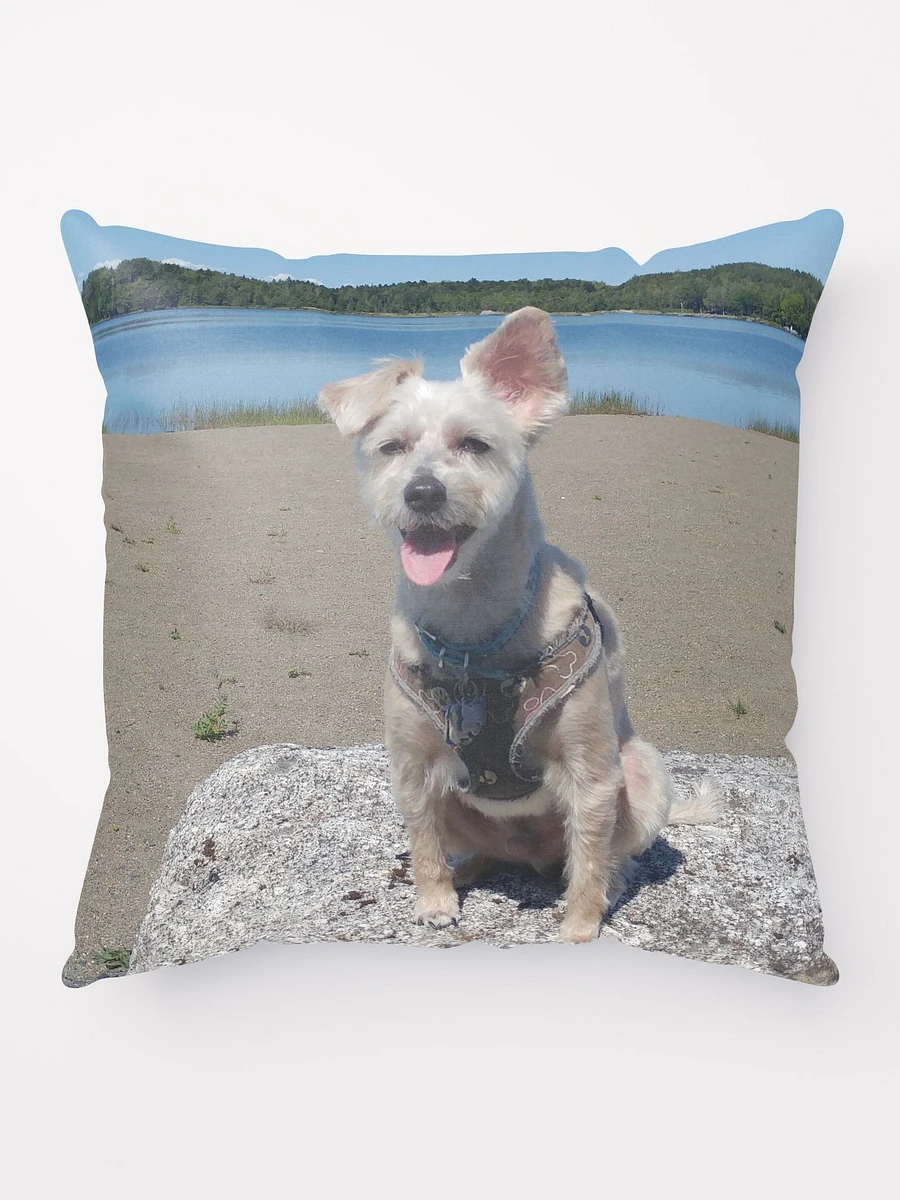 Mozzie At The Lake Throw Pillow product image (1)