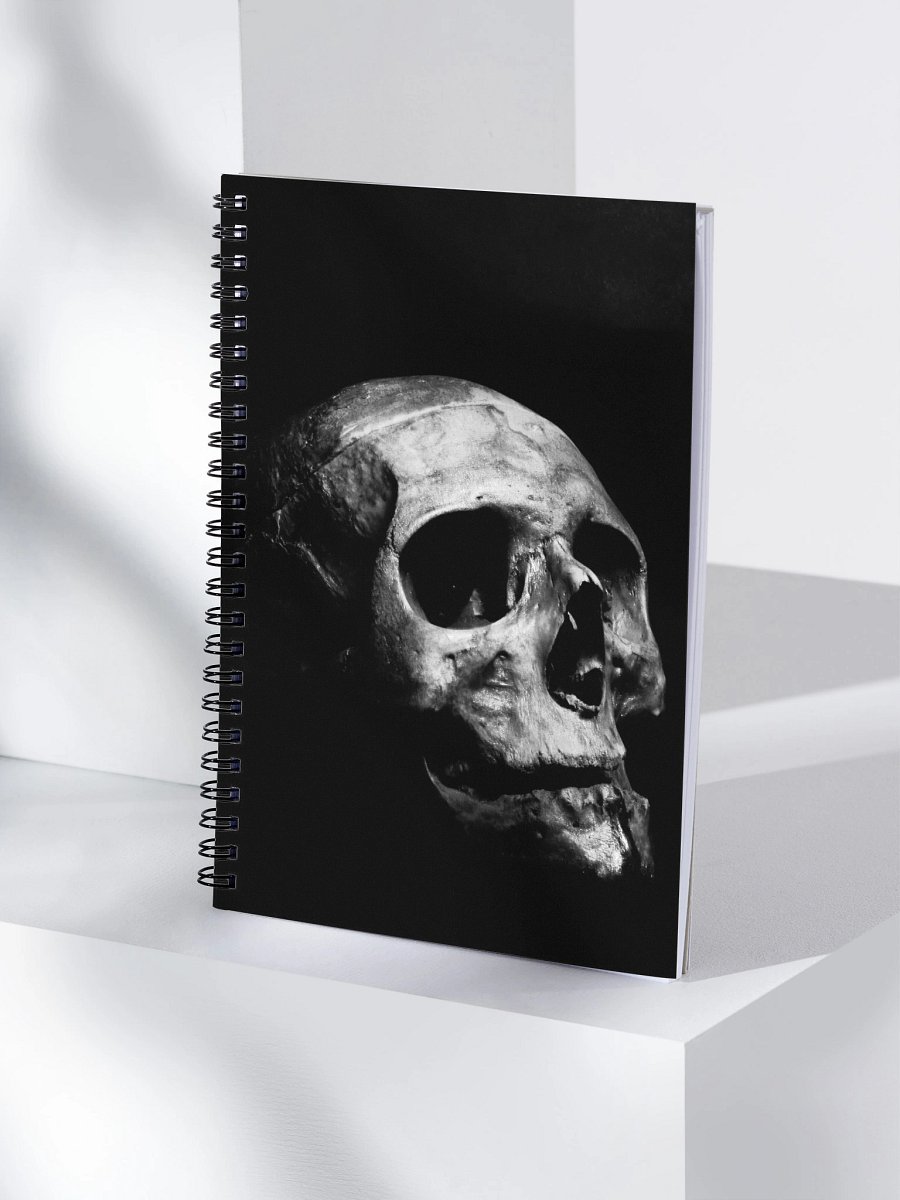 Ethereal Skull Spiral Notebook product image (4)