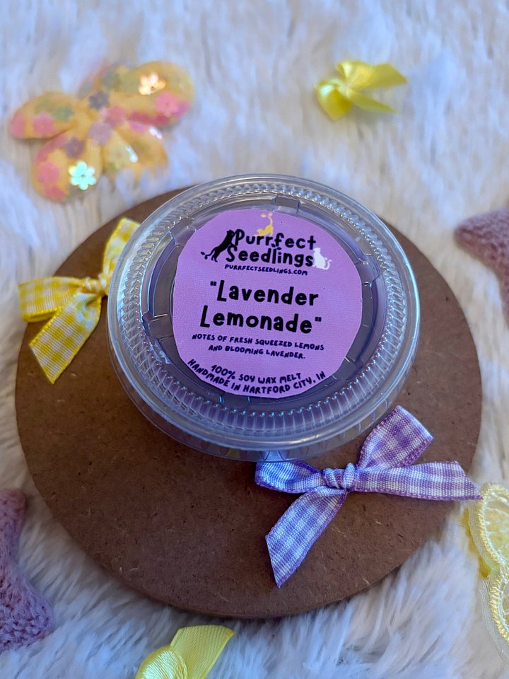 Lavender Lemonade Wax Melt product image (1)
