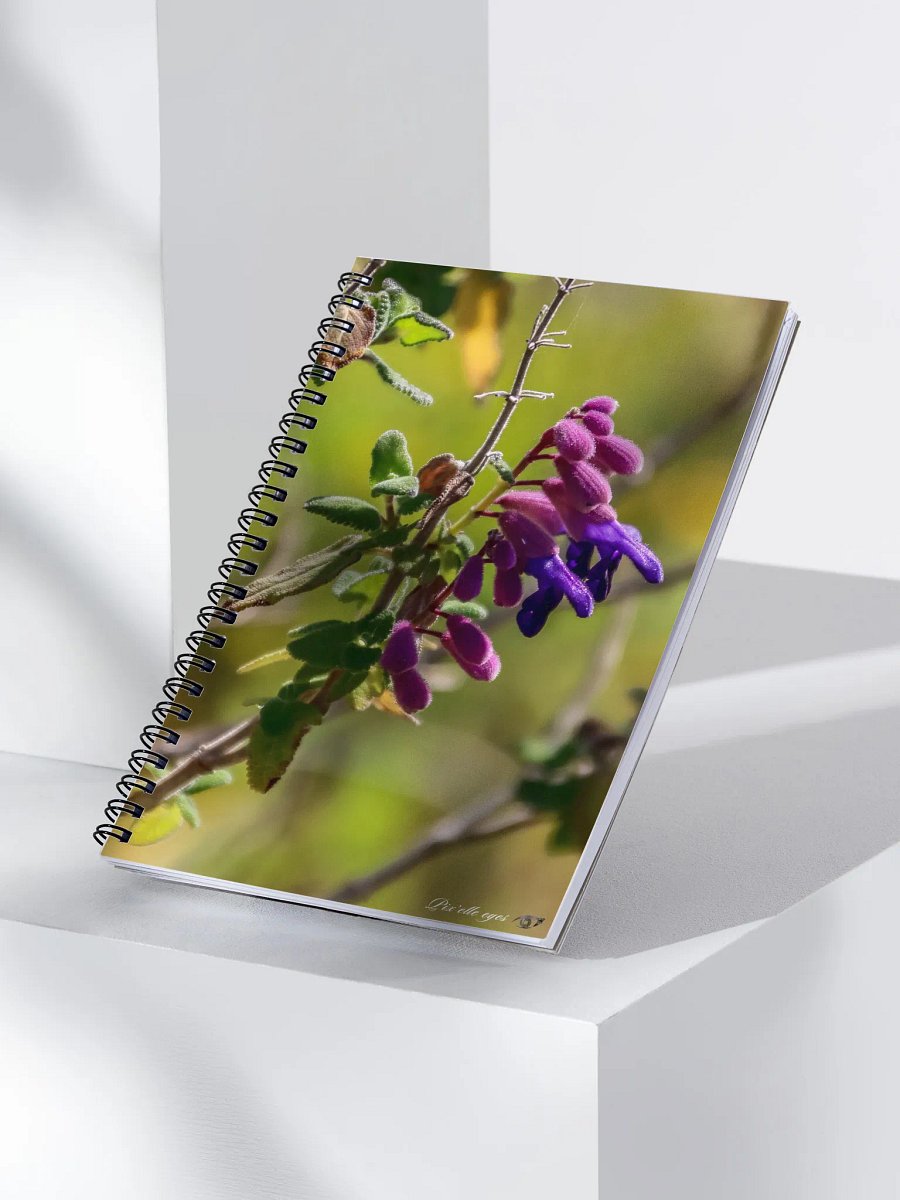 📘 Notebook Collection PURE – Jardin du Rayol – Salvia royale product image (3)